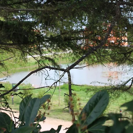 Vila Belvue Вилла Медулин